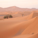 Die Dünenwüste Erg Chebbi (MA)