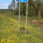 Auf dem Weg nach Kiruna (S) – Nur Gegend (Straße, Wald und Seen) aber schön