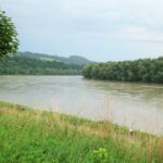 Ottensheim an der Donau (A) – (Der Fluss ist randvoll)