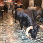 Pamplona (E) – Stierlauf in einem Souvenirgeschäft