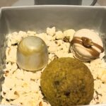 Bad Neuenahr-Ahrweiler (D) – Zu Gast im Steinheuers Restaurant