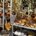 Regensburg (D) – Im Dackelmuseum