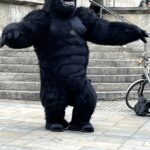 Regensburg (D) – King Kong war los