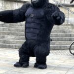 Regensburg (D) – King Kong war los