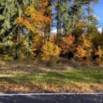 Auf der Fahrt nach Krumau (CZ)