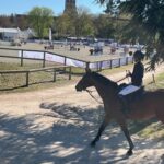 Cluny (F) – In der Stadt gab es gerade ein Springreitturnier