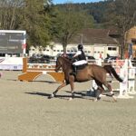 Cluny (F) – In der Stadt gab es gerade ein Springreitturnier