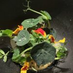 Grassau (D) – Das acht Gänge Menü
